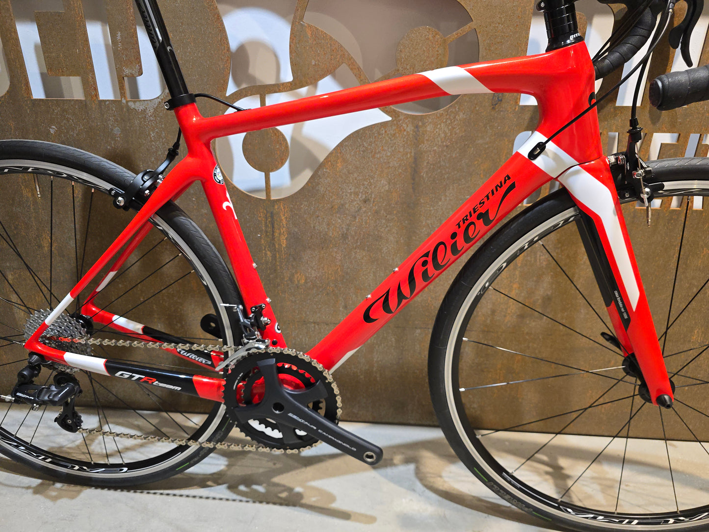 WILIER GTR TEAM / CAMPAGNOLO CENTAUR / M