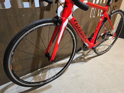 WILIER GTR TEAM / CAMPAGNOLO CENTAUR / M